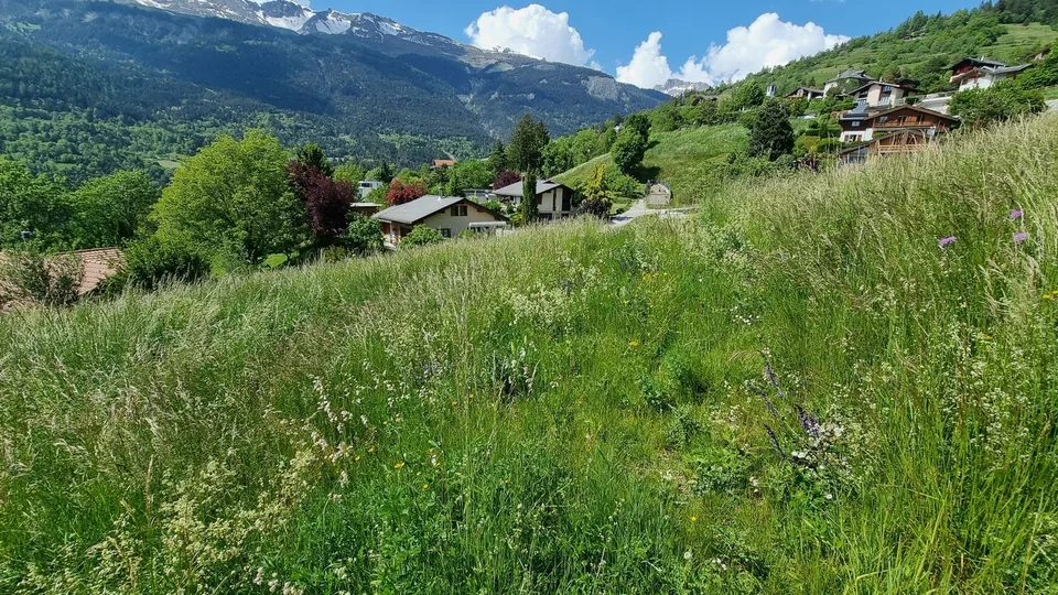 Terrain - Libre de mandat - Icogne - EXCLUSIVITE - réf. 10265560