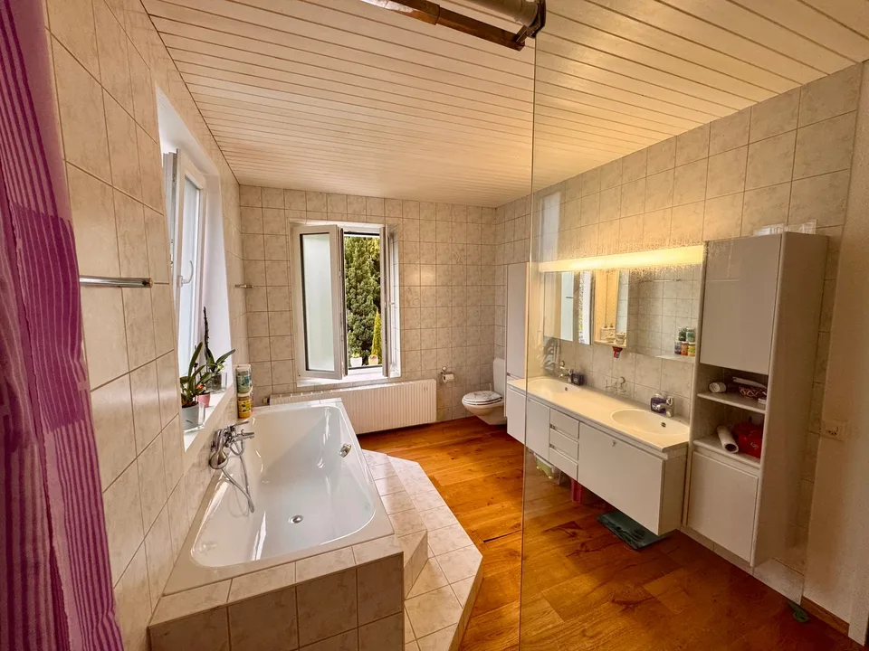 3.5-Zimmer Attika - Penthouse + Gästehaus. Option: Mehrgenerationen-Haus
