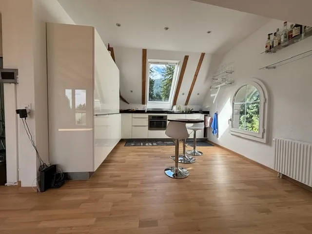 3.5-Zimmer Attika - Penthouse + Gästehaus. Option: Mehrgenerationen-Haus