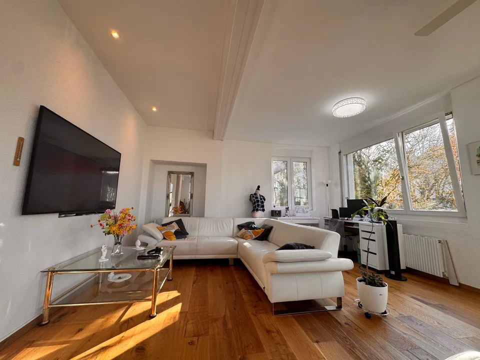 3.5-Zimmer Attika - Penthouse + Gästehaus. Option: Mehrgenerationen-Haus