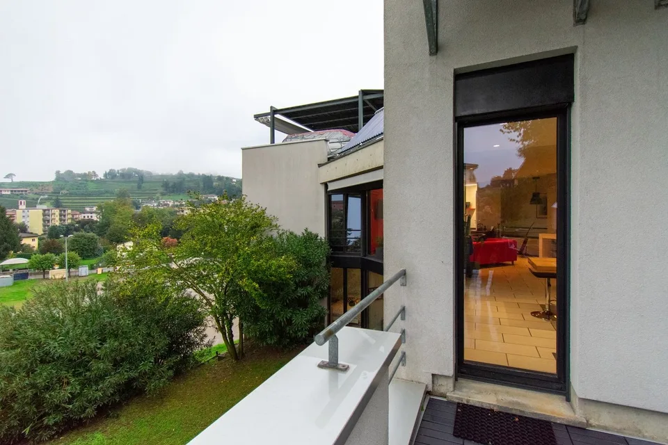 Modern two-story house with garden and terrace