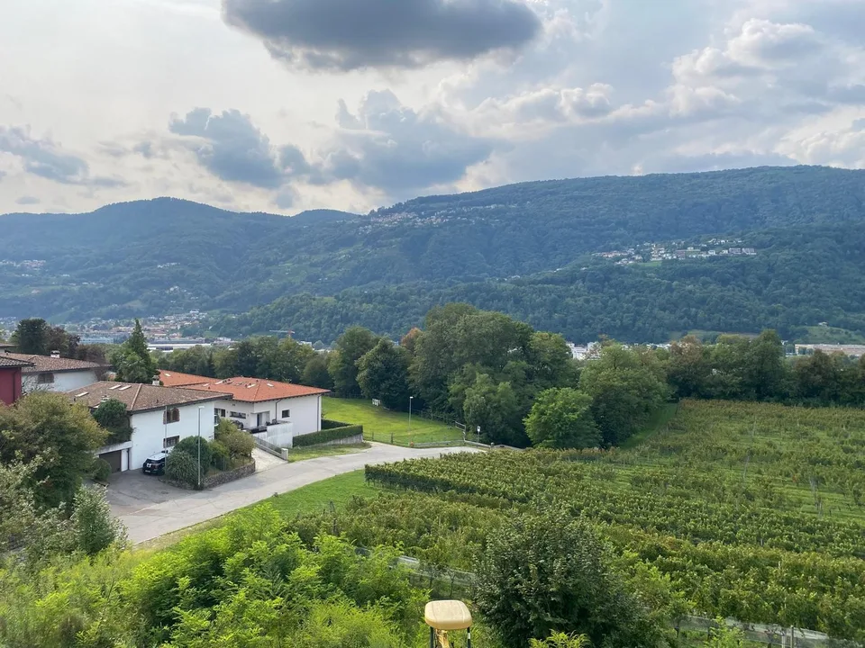 Prächtiges Landhaus mit 12 Räumen und Weinberg in Breganzona – Foto 19 von 28