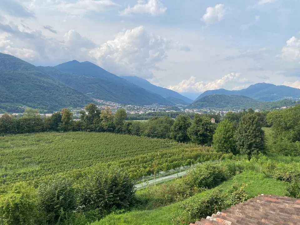 Prächtiges Landhaus mit 12 Räumen und Weinberg in Breganzona – Foto 18 von 28