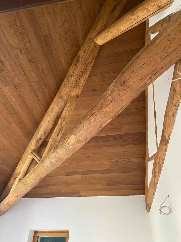 Prächtiges Landhaus mit 12 Räumen und Weinberg in Breganzona – Foto 14 von 28