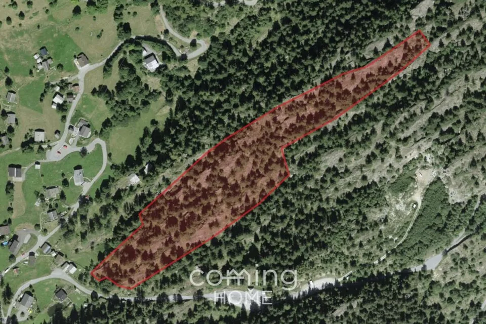 Blatten bei Naters - Grosszügiges Waldgrundstück mit Bergpanorama und Nähe zum Stausee Gebidem