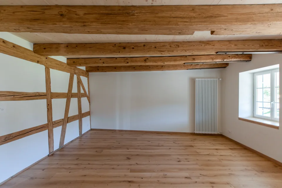 Modernes Wohnen mit historischem Charme an traumhafter Lage