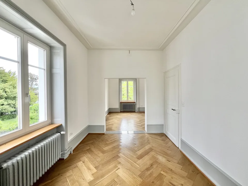 Basler Stadtvilla direkt am Rhein!
