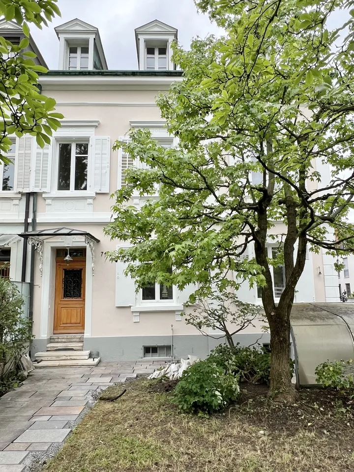 Basler Stadtvilla direkt am Rhein!