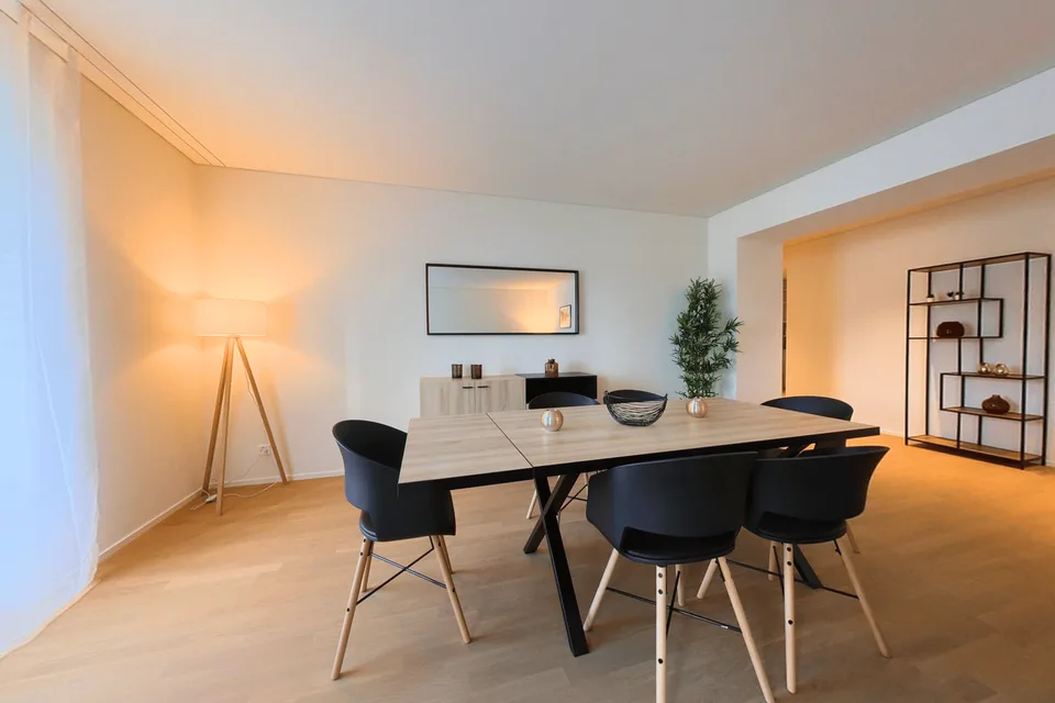 Corporate Spacious Apartments, Fully Furnished - Neuchatel City Centre