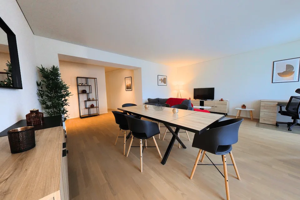 Corporate Spacious Apartments, Fully Furnished - Neuchatel City Centre