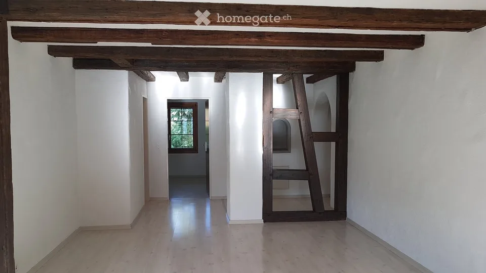 Bello appartamento di 4,5 locali a Neerach