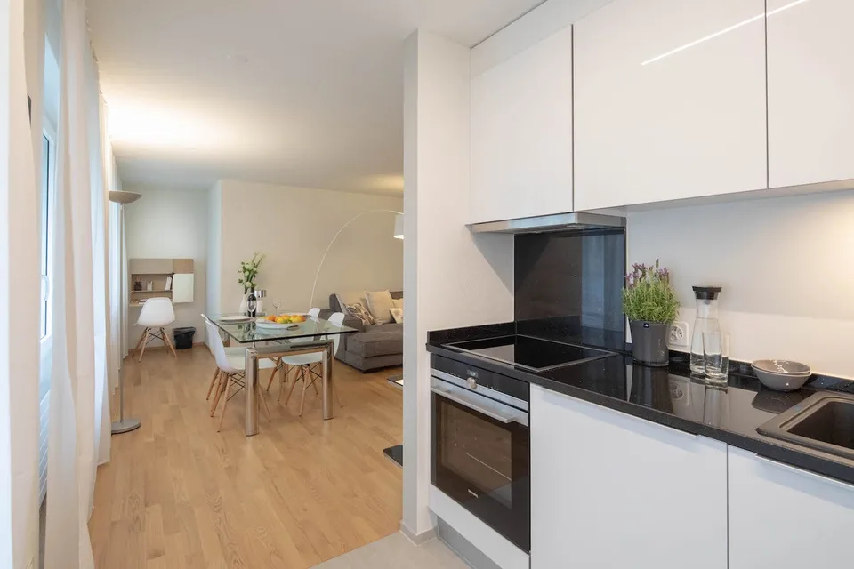 Appartamento arredato 2 locali moderno con balcone a Zürich Wiedikon