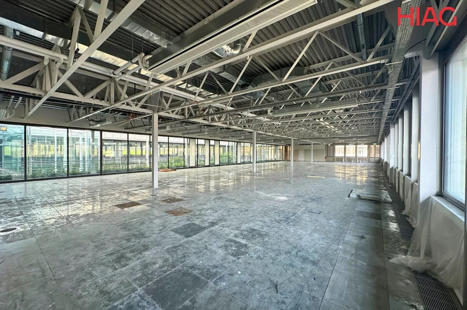 In affitto, superfici semi-industriali a Meyrin all'interno del campus The Hive.