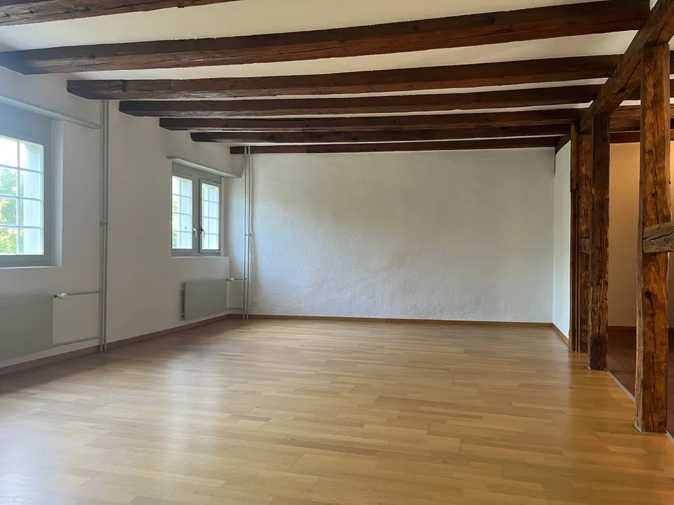 Altstadt Solothurn - grosszügiges Studio