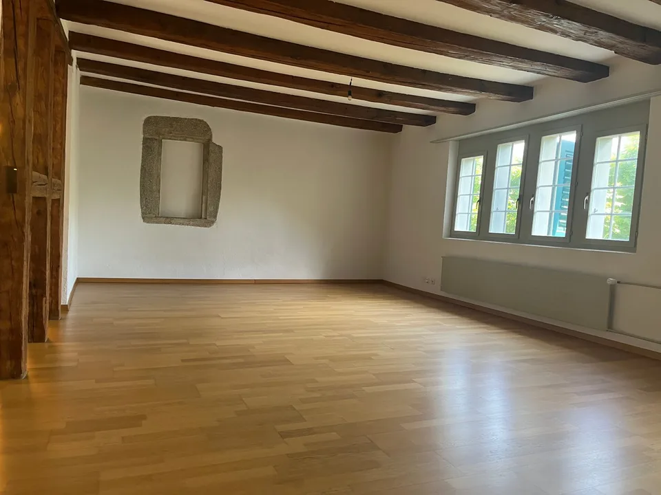 Altstadt Solothurn - grosszügiges Studio