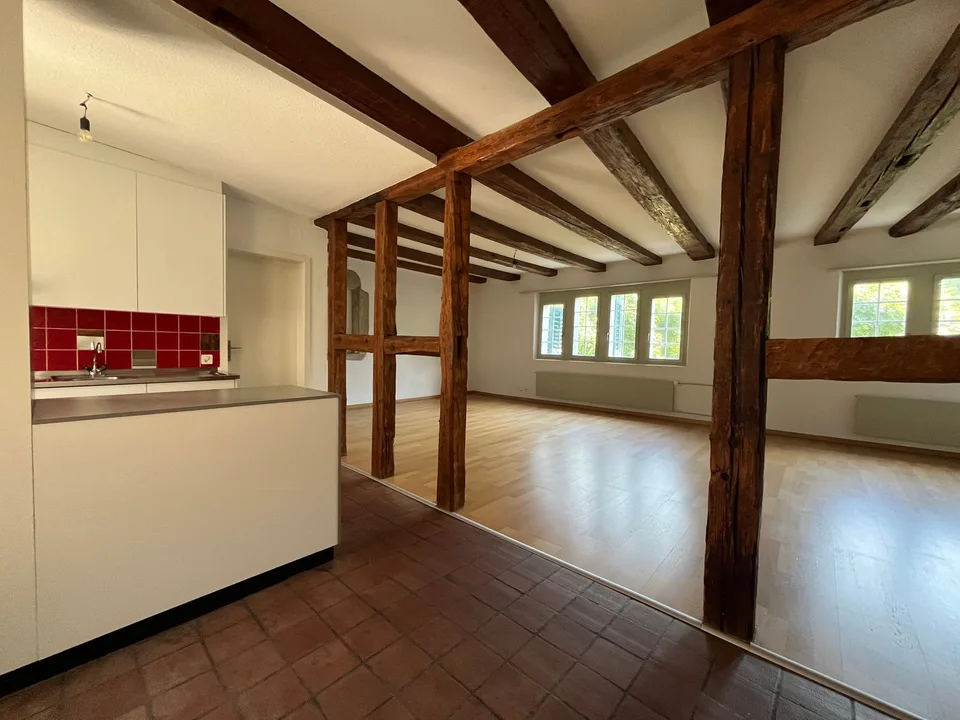 Altstadt Solothurn - grosszügiges Studio
