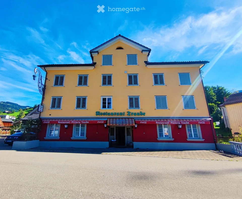 Helle, renovierte 2.5-Zimmer-Wohnung mit Bergsicht in Nesslau