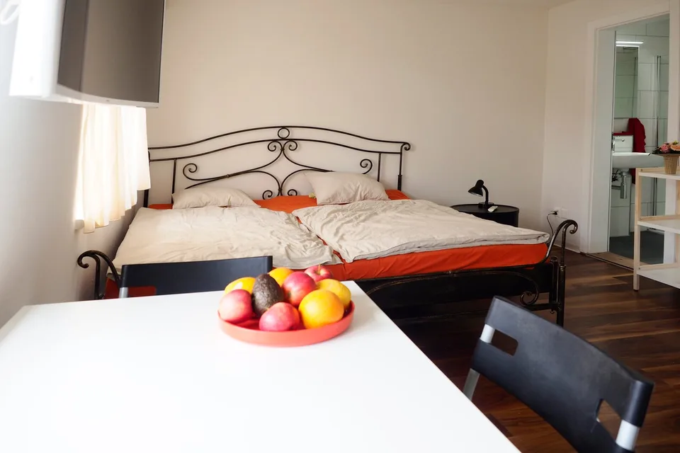 Möblierte Studios in Wetzikon ZH – Foto 17 von 20