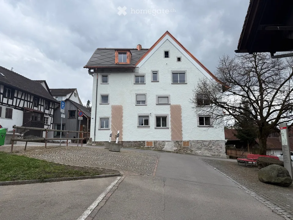 Lichtdurchflutetes Penthouse mit zwei Loggien / Erstvermietung in Oetwil an der Limmat