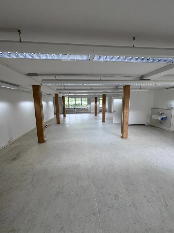Grosser Büro-/Gewerberaum in ehemaliger Spinnerei