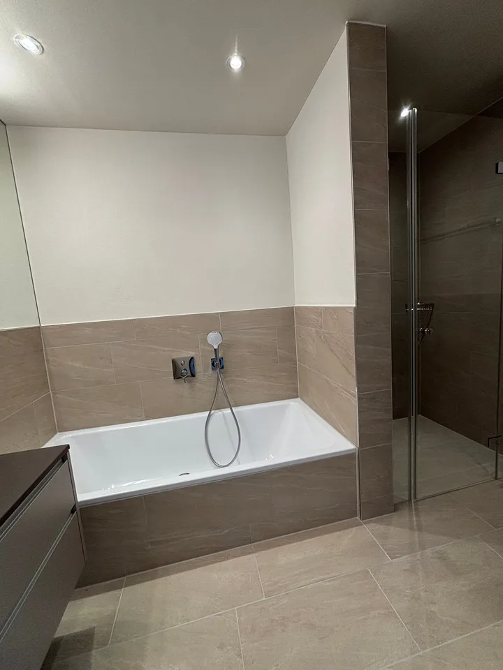 First-time rental: Spacious 4.5-room apartment with 41m2 balcony – photo 10 of 18