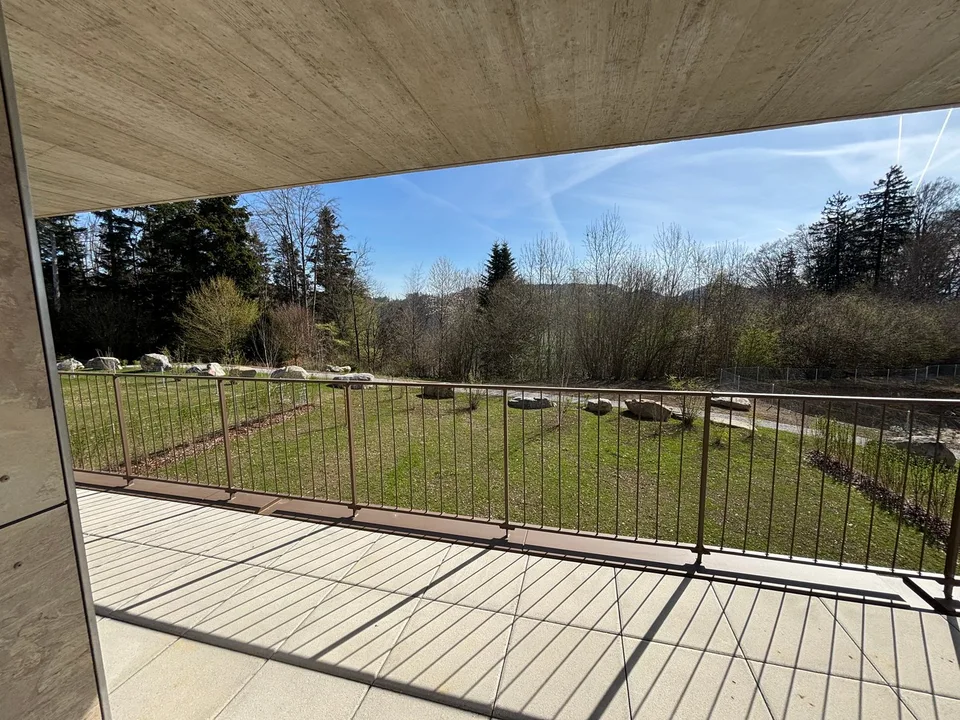 First-time rental: Spacious 4.5-room apartment with 41m2 balcony – photo 17 of 18