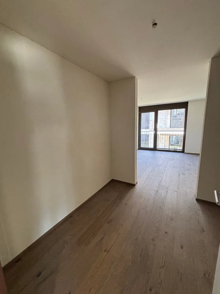 First-time rental: Spacious 4.5-room apartment with 41m2 balcony – photo 11 of 18