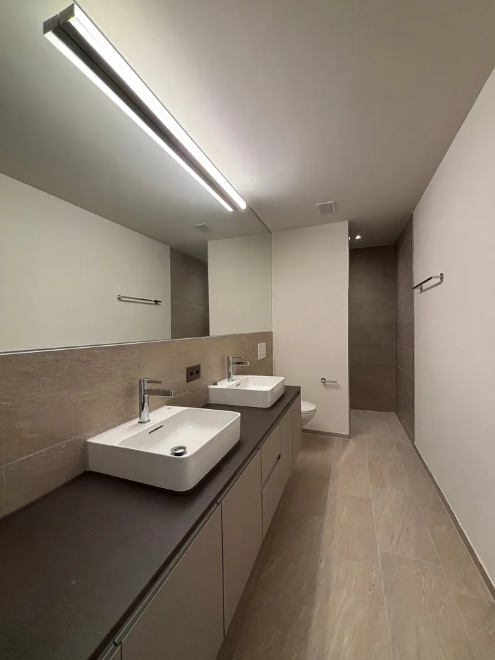 First-time rental: Spacious 4.5-room apartment with 41m2 balcony – photo 8 of 18
