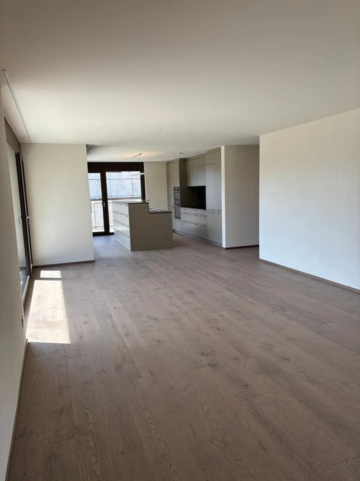 First-time rental: Spacious 4.5-room apartment with 41m2 balcony – photo 7 of 18