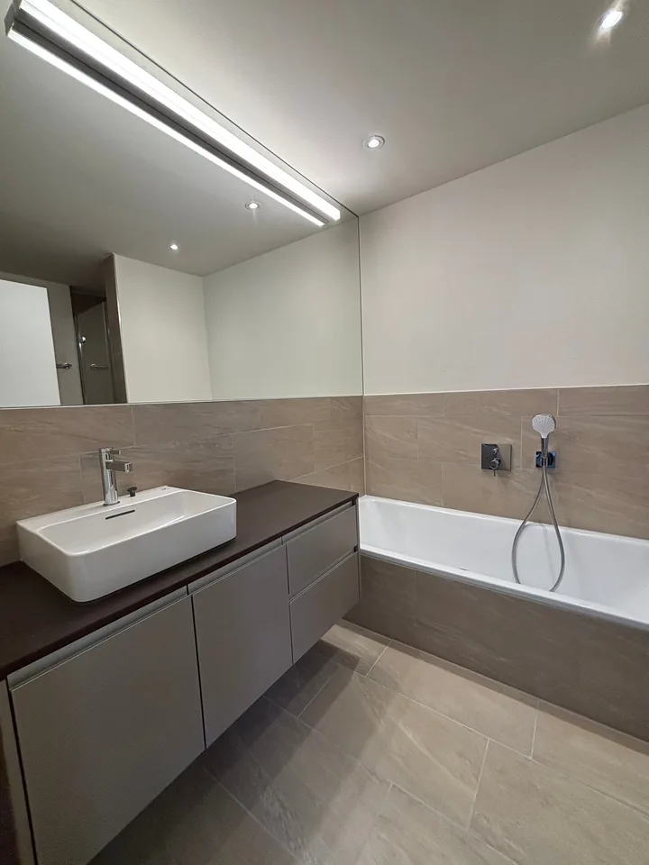 First-time rental: Spacious 4.5-room apartment with 41m2 balcony – photo 9 of 18