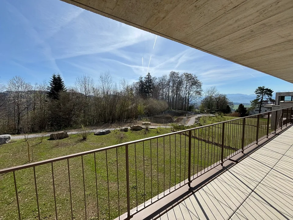First-time rental: Spacious 4.5-room apartment with 41m2 balcony – photo 18 of 18
