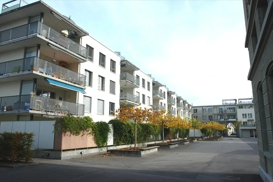 Im Steinhofquartier