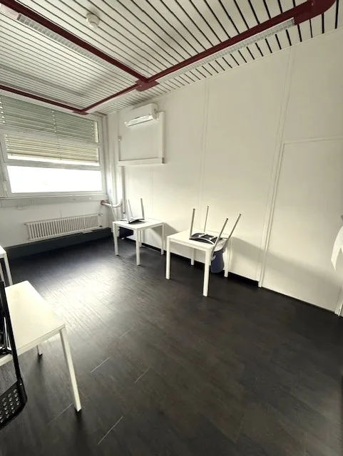 Zu vermieten in einem großen Industrie-, Handwerks- und Verwaltungskomplex, 3 Flächen von 407 m², 250 m² und 165 m² – Foto 9 von 22