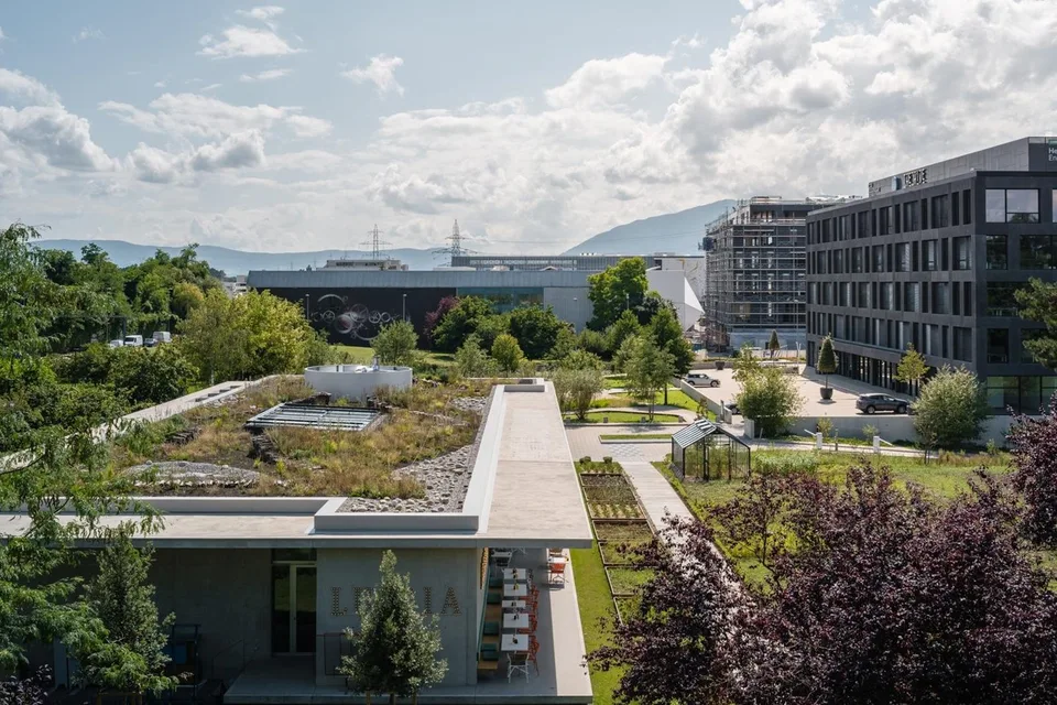 Büros plug & play 730 m² - Meyrin