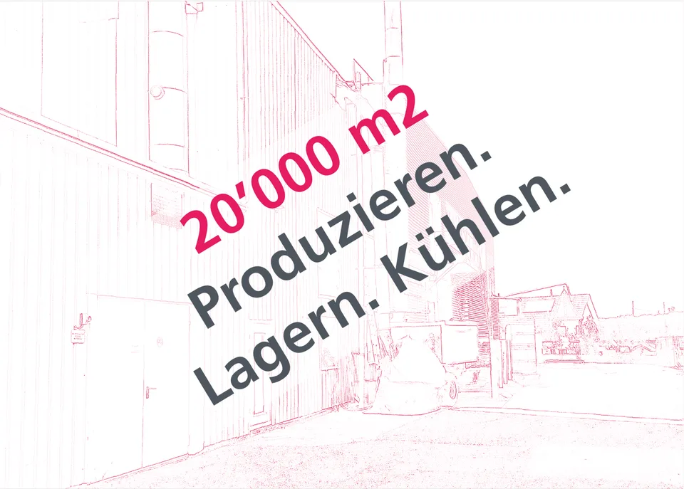 Lager- oder Gewerberaum in Villigen