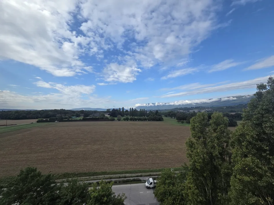 Superficie artigianale e/o industriale flessibile di 535 m2 in affitto – foto 8 di 9