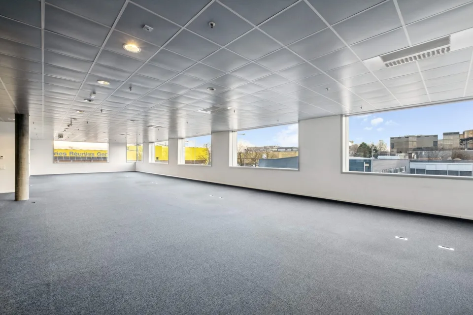 Superficie mista in affitto - Plan-les-Ouates - Da 381 m2 - Edificio moderno – foto 7 di 11