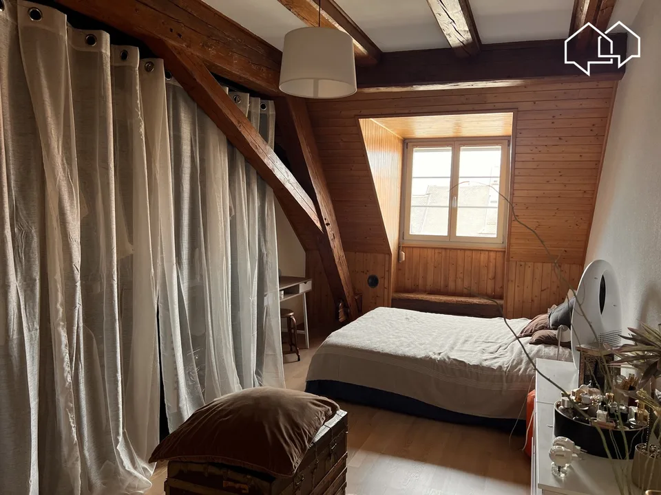 Spacieux appartement dans les combles avec terrasse