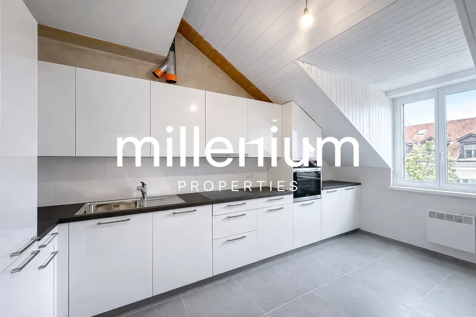 Exceptional Renovated 6-Room Duplex Penthouse in the Heart of Carouge