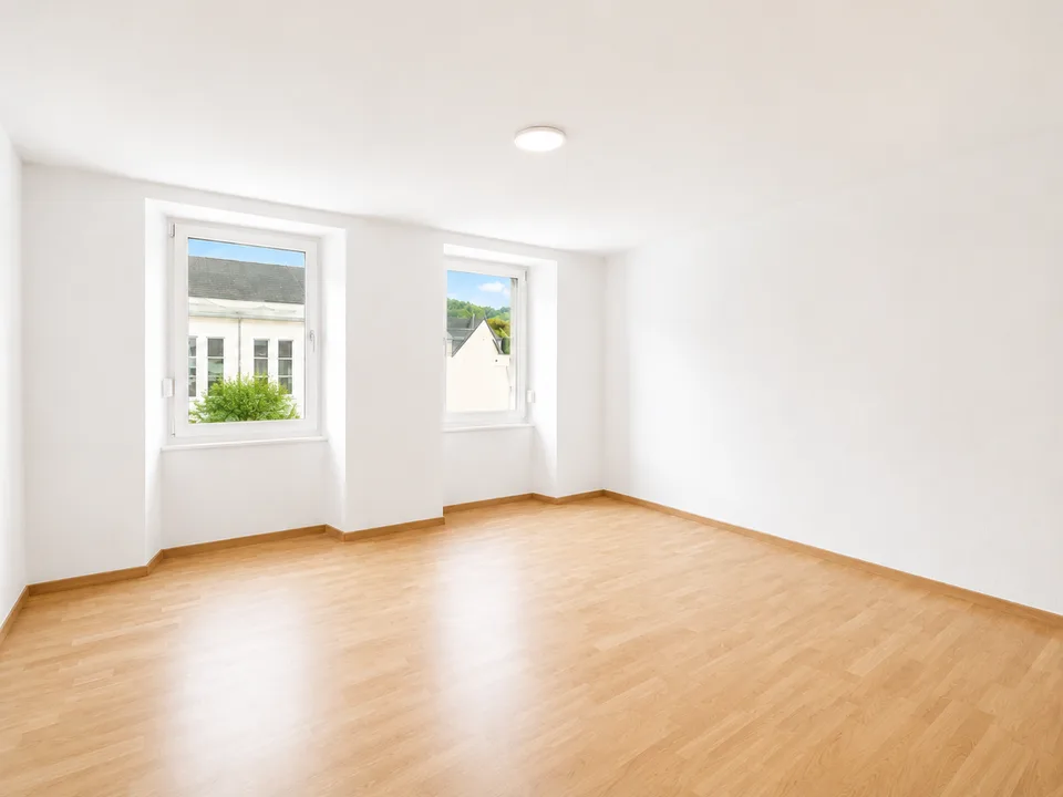 Magnificent 4.5 rooms, very spacious and bright with modern kitchen and bathroom! – photo 8 of 9