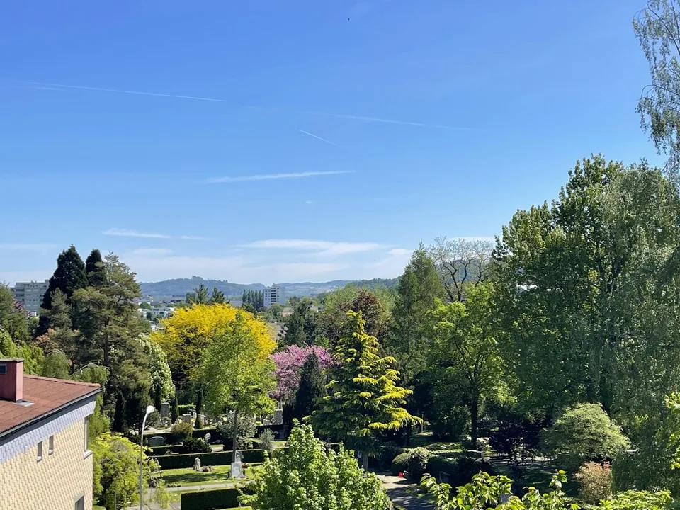 Piano bello, balcone e terrazza sul tetto