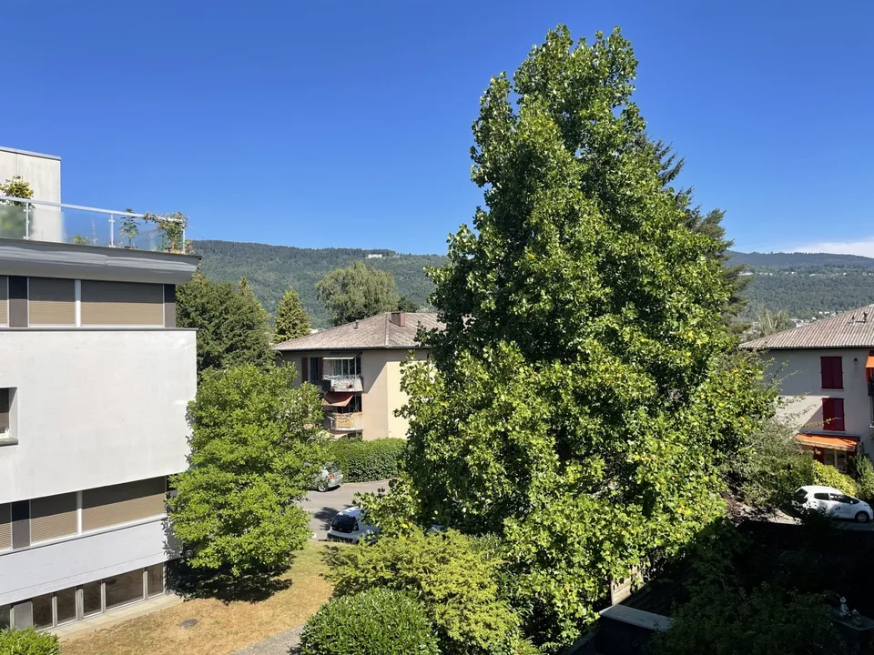 Piano bello, balcone e terrazza sul tetto