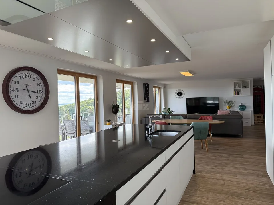 Schönes Appartement mit Panoramablick auf den See