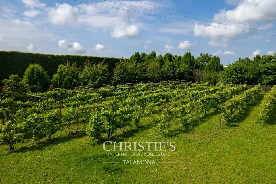 Tenuta storica immersa nel verde a Oleggio – foto 12 di 13