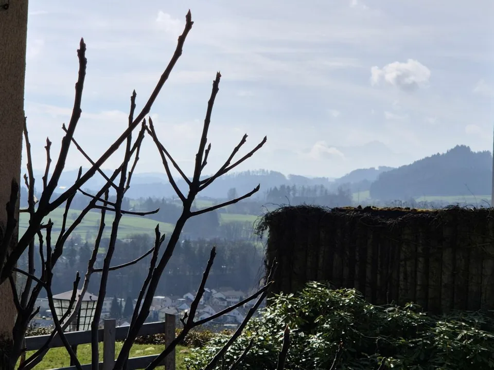 Terreno edificabile in posizione privilegiata a Uzwil