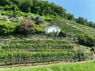 Einfamilienhaus - Cugnasco-Gerra – Foto 10 von 22