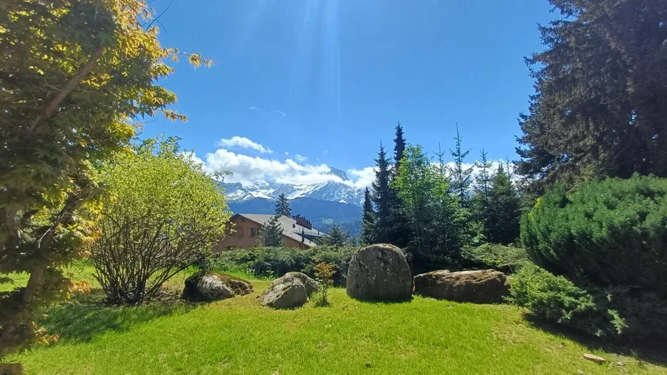 Chalet totalement rénové avec joli jardin arborisé – photo 27 sur 30