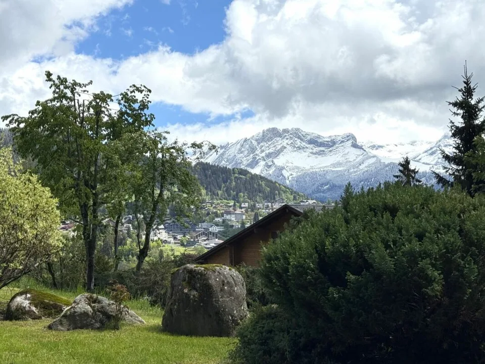 Chalet totalement rénové avec joli jardin arborisé – photo 19 sur 30