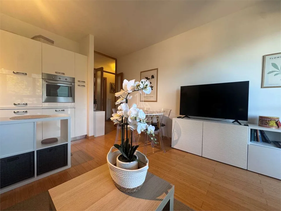 Bissone - 2,5 pièces avec terrasse et vue sur le lac
