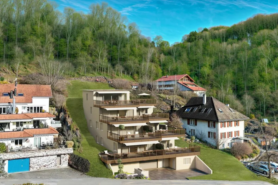 BAUFORTSCHRITT: HANGSICHERUNG VOLLENDET - BELLA VISTA.CH NIMMT FORM AN